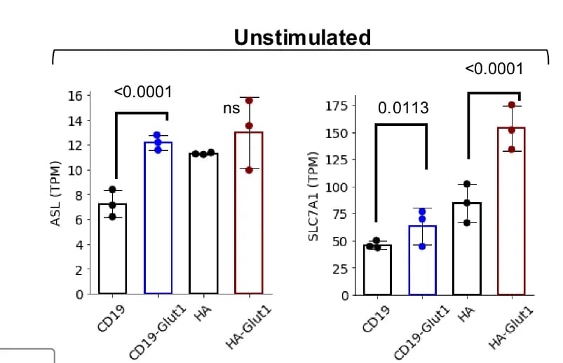 Open access visualization of Bar Plot, Error Bars, TPM, ASL, SLC7A1