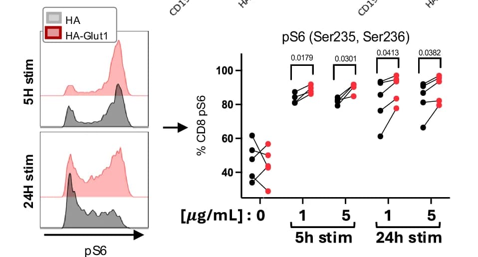 Open access visualization of Density Plot, Line Plot, Histograms, pS6, CD8 CAR-T Cells