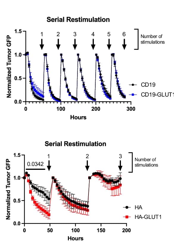 Open access visualization of Line Plot, Error Bars, Serial Rechallenge, Tumor-GFP Killing Kinetics, Incucyte