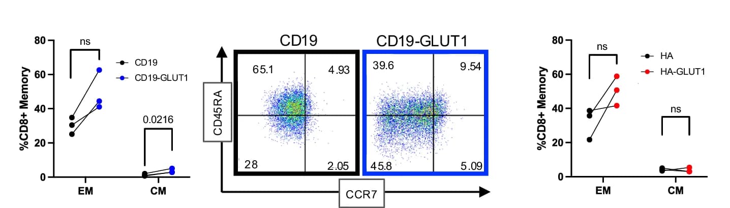 Open access visualization of Scatter Plot, Memory Formation, Serially Rechallenged CD8+ CAR-T Cells, CD19, GLUT1OE