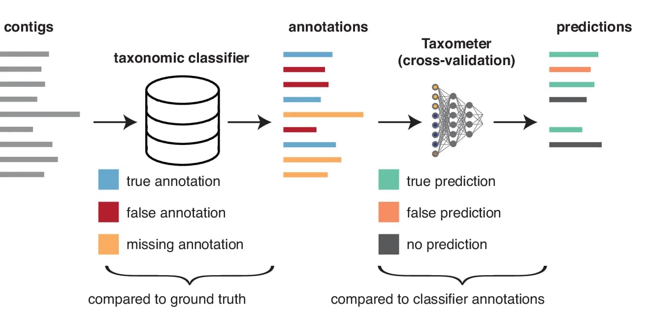 Open access visualization of Workflow, Flowchart, K-fold Evaluation, Taxometer Predictions, Classifier Annotations