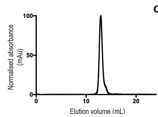 Open access visualization of Line Plot, Size-exclusion chromatogram, Tse15