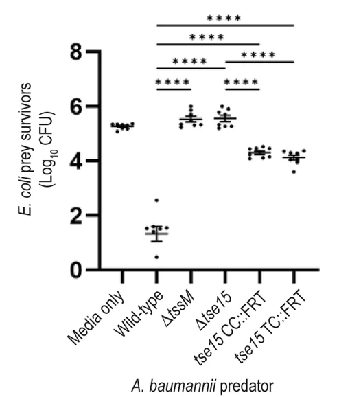 Open access visualization of Scatter Plot, Error Bars, T6SS, Killing assays, Tse15