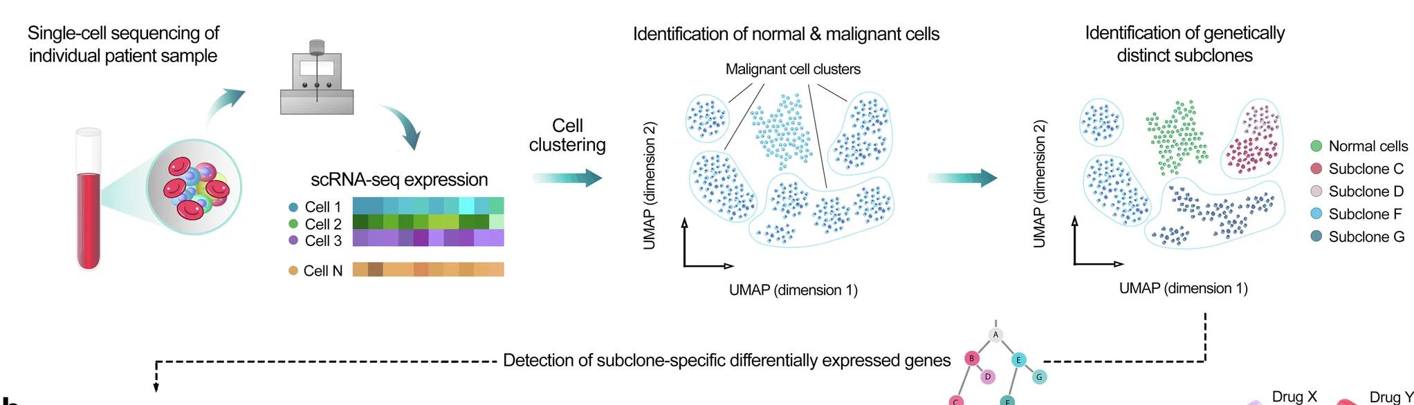 Open access visualization of UMAP, Scatter Plot, Network, scRNA-seq, Expression Count Matrix