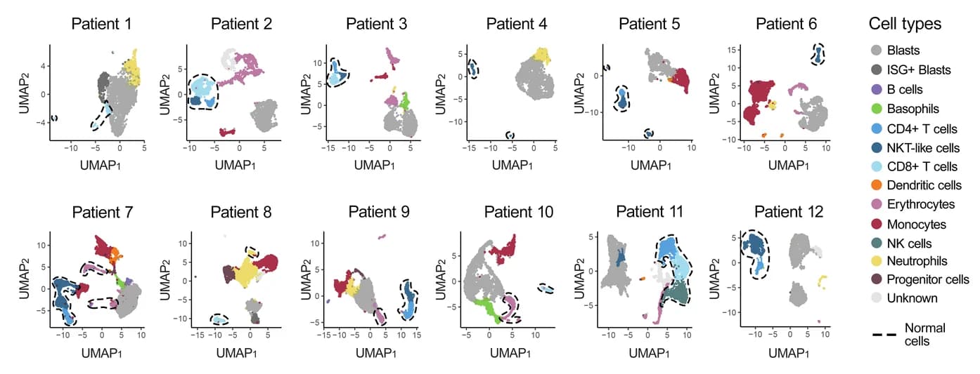 Open access visualization of UMAP, Scatter Plot, Cell Types, scRNA-seq, Bone Marrow