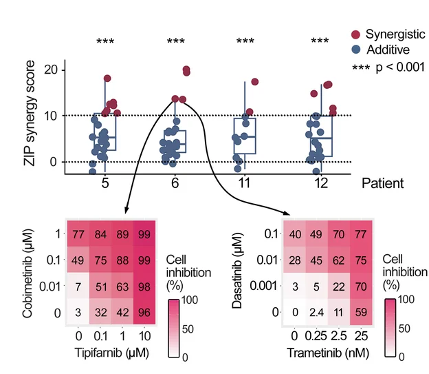Open access visualization of Box Plot, Scatter Plot, Heatmap, Drug Combinations, Synergistic Effects