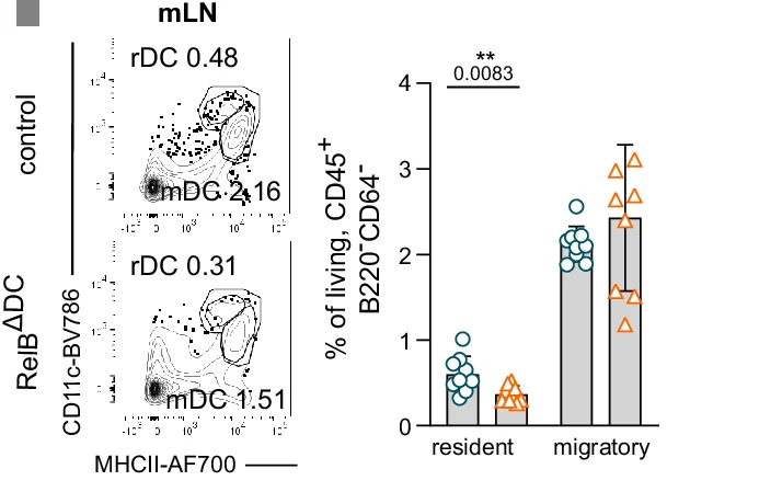 Open access visualization of Bar Plot, Error Bars, Scatter Plot, Contour Plots, Resident cDCs