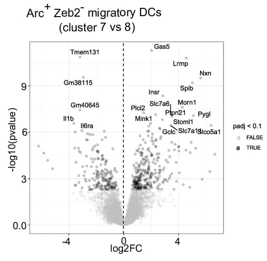 Open access visualization of Volcano Plot, Scatter Plot, Differentially Expressed Genes, Arc+ Zeb2- Migratory DCs, Cluster 7