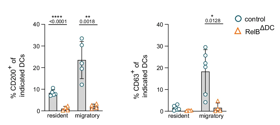 Open access visualization of Bar Plot, Error Bars, Scatter Plot, CD200 Expression, CD63 Expression