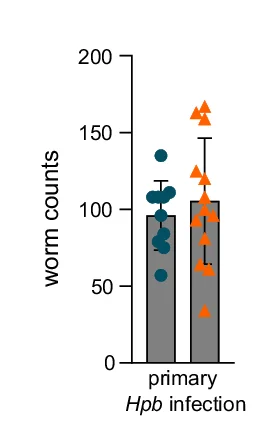 Open access visualization of Bar Plot, Error Bars, Clustered, Scatter Plot, Intestinal Worm Counts