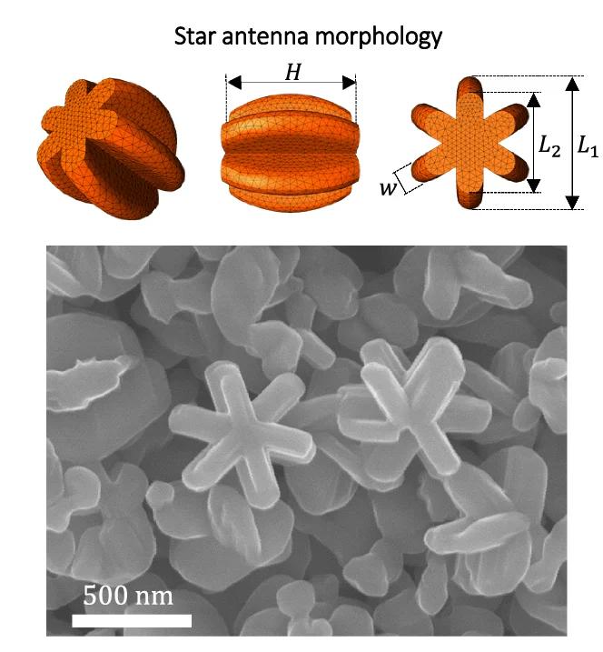 Open access visualization of Microscopy, 3D Plot, Chemical Structure, 3D Model, Computational Calculations