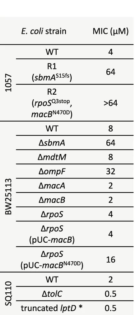 Open access visualization of Table Image, MIC, Rumicidin-1, E. coli, Resistant Strains