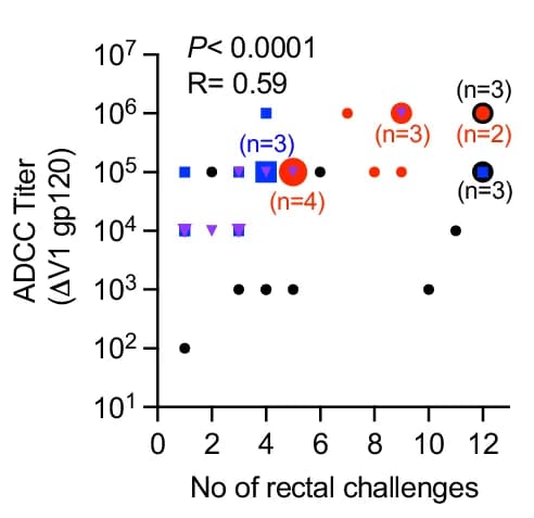 Open access visualization of Scatter Plot, Bubble Plot, ADCC Titer, Animal Groups, Intrarectal Challenges