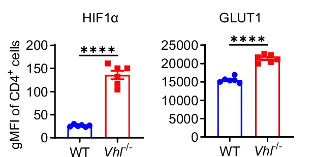 Open access visualization of Bar Plot, Error Bars, Scatter Plot, CD4+ T Cells, Hypoxia