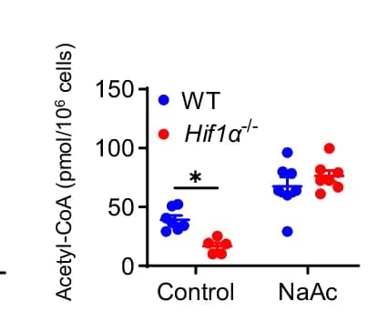 Open access visualization of Scatter Plot, Error Bars, Intracellular acetyl-CoA, WT, CD4+ T Cells