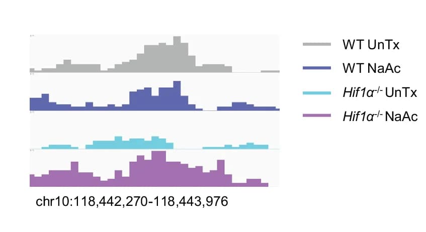 Open access visualization of Line Plot, Line Step, Density Plot, H3K9Ac Enrichment, Ifng Promoter