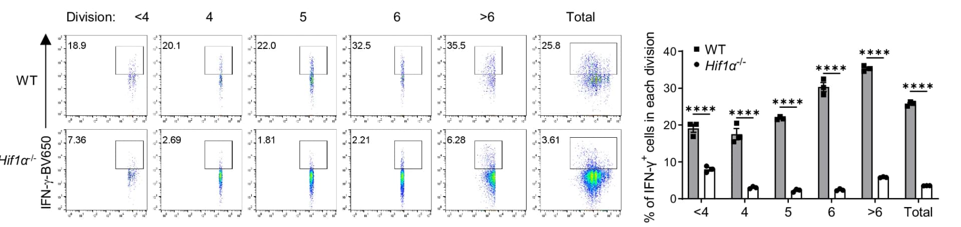 Open access visualization of Bar Plot, Scatter Plot, CD4+ T Cells, IFN-gamma, Cell Division