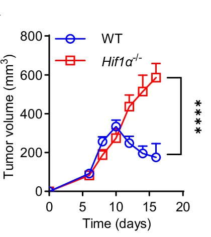 Open access visualization of Line Plot, Error Bars, MB49 Bladder Tumor, Anti-CTLA-4, Anti-PD-1 Therapy