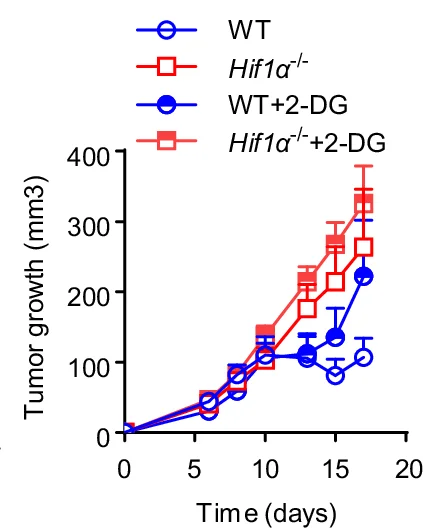 Open access visualization of Line Plot, Error Bars, MB49 Bladder Tumor, ICB, 2-DG Administration