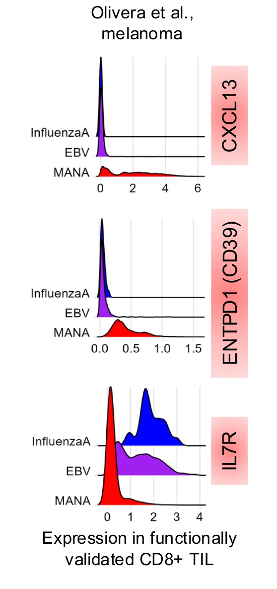 Open access visualization of Density Plot, Gene Expression, Tumor-Reactive CD8+ TIL, Bystander CD8+ TIL, MANA-Specific TIL
