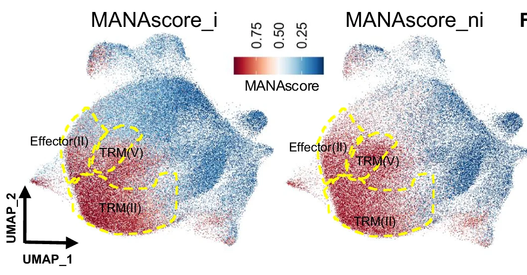 Open access visualization of Scatter Plot, UMAP, Feature Plot, MANAscore_i, MANAscore_ni