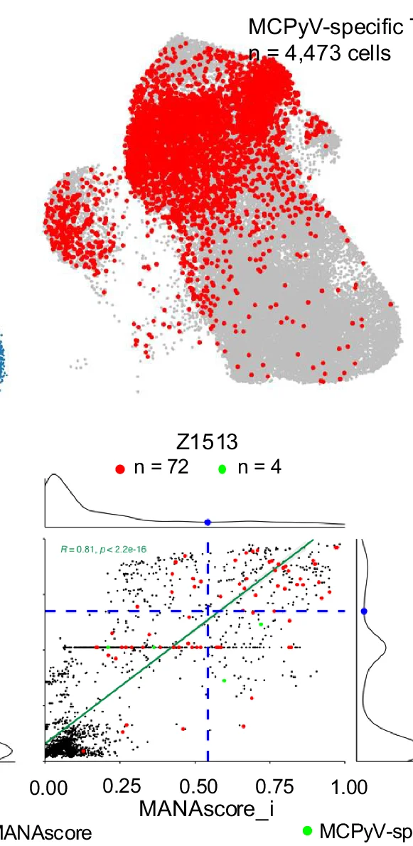 Open access visualization of Scatter Plot, UMAP, Density Plot, Regression Plot, Multiple