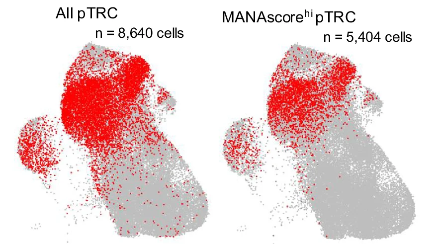 Open access visualization of Scatter Plot, UMAP, pTRC, MANAscore, CD8+ UMAP