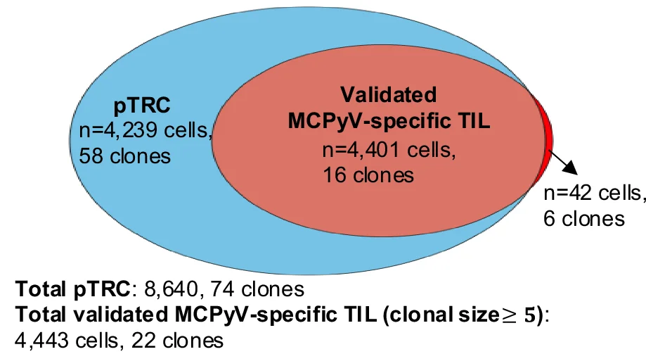 Open access visualization of Venn Diagram, TIL, MANAscore, pTRC, CITEseq