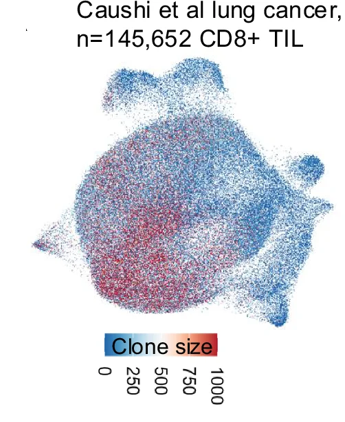 Open access visualization of Scatter Plot, UMAP, TIL, NSCLC, Clonal Size