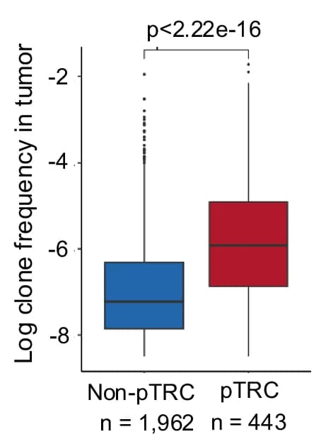 Open access visualization of Box Plot, Boxplot, pTRC, Non-pTRC, Tumor Tissue