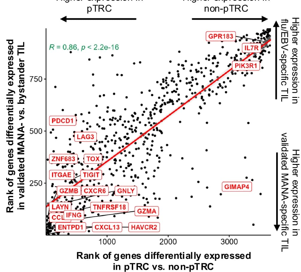 Open access visualization of Scatter Plot, Regression Plot, Spearman's Correlation, Differentially Expressed Genes, pTRC