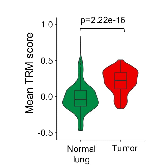 Open access visualization of Violin Plot, Box Plot, Multiple, TRM Scores, pTRC