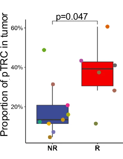 Open access visualization of Box Plot, Scatter Plot, Multiple, pTRC, Patients