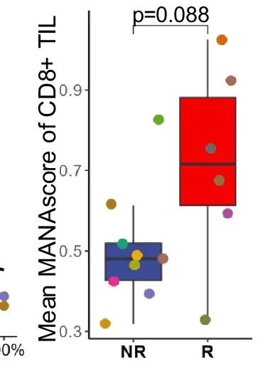Open access visualization of Box Plot, Scatter Plot, Multiple, MANAscore, Responding Tumors