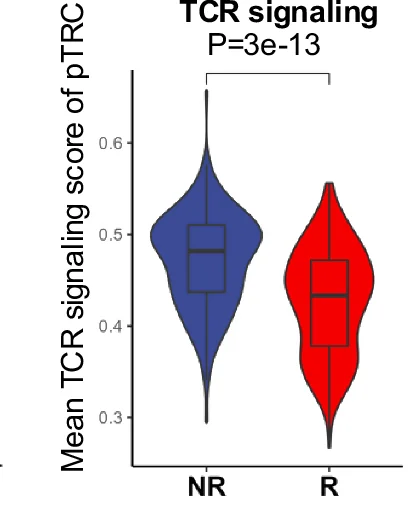 Open access visualization of Violin Plot, Box Plot, TCR Signaling Scores, pTRC, Responder