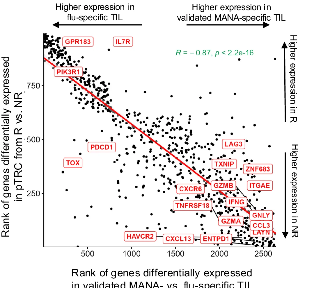 Open access visualization of Scatter Plot, Regression Plot, Spearman’s Correlation, Differentially Expression Gene, pTRC