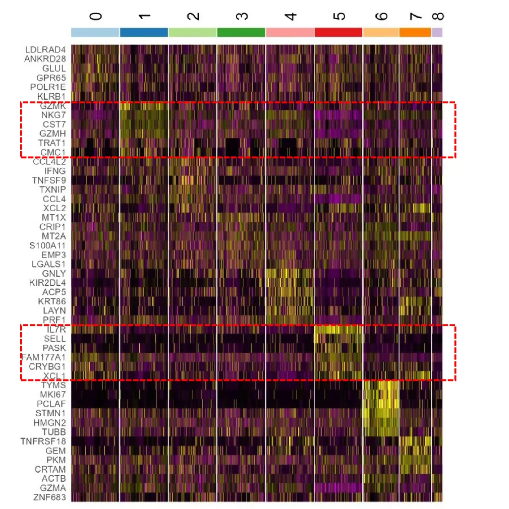 Open access visualization of Heatmap, Relative Expression, Differentially Expressed Genes, Clusters