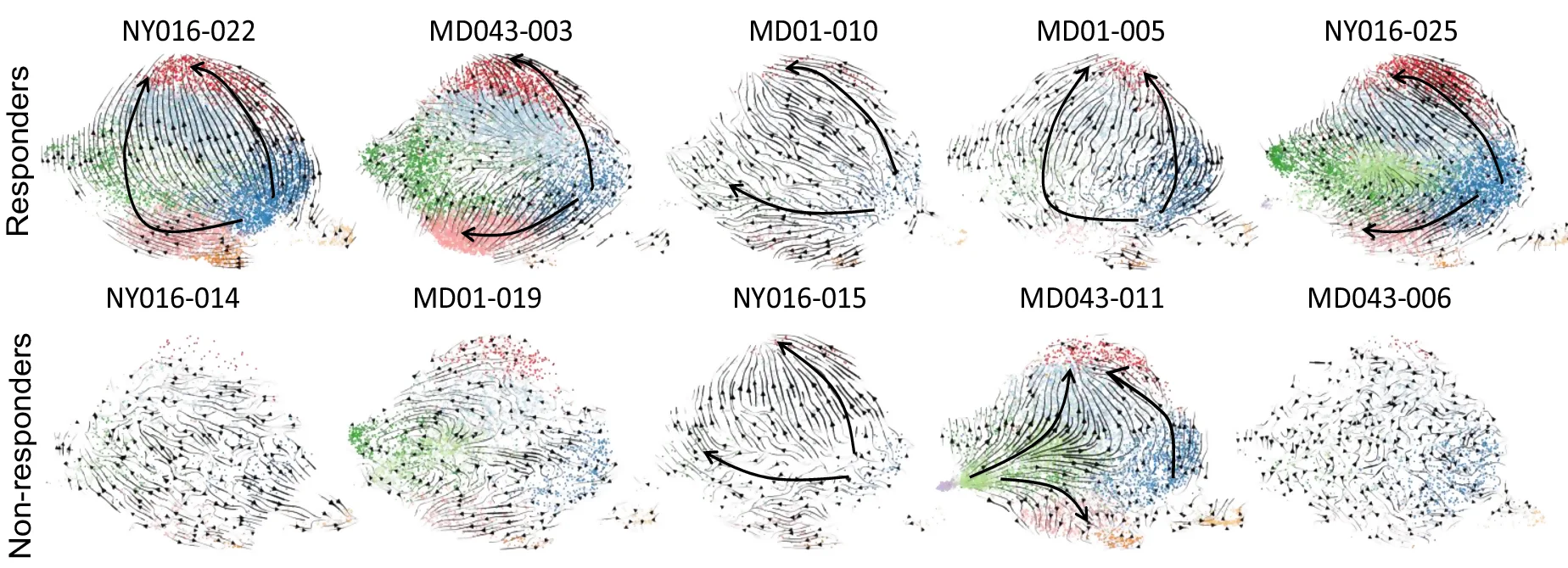 Open access visualization of Scatter Plot, Line Plot, Network, Multiple, RNA Velocity