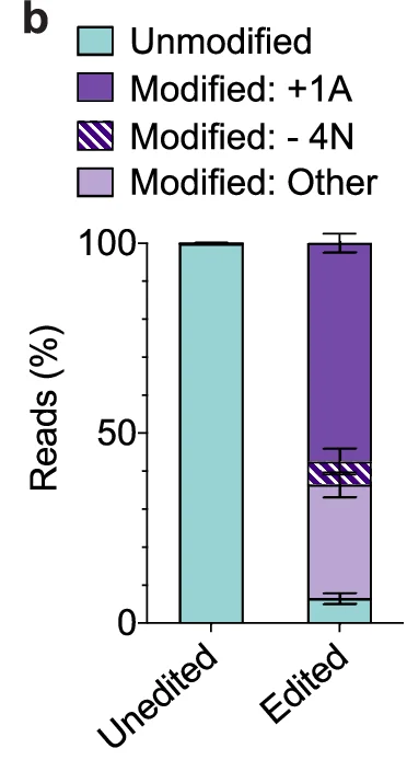 Open access visualization of Bar Plot, Reads (%), Unmodified, Modified: +1A, Modified: - 4N