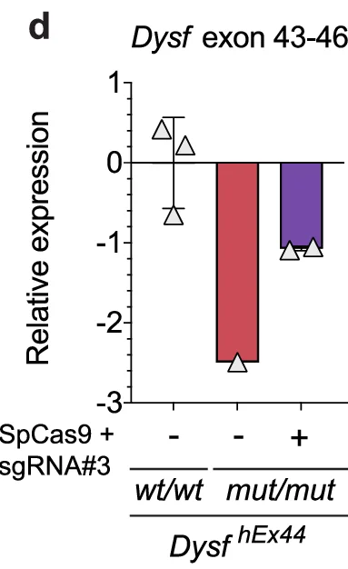 Open access visualization of Bar Plot, Error Bar, Relative expression, Dysf exon 43-46, SpCas9