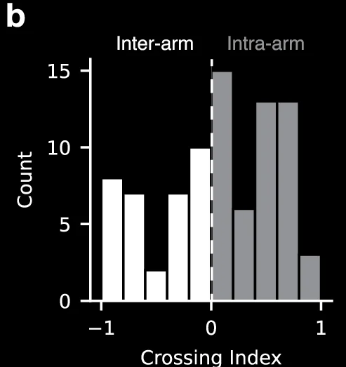 Open access visualization of Bar Chart, Crossing Index, Count, Inter-arm, Intra-arm