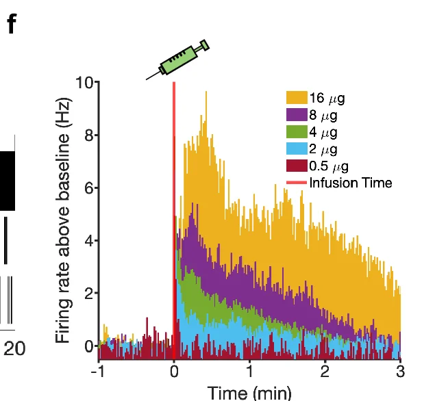 Open access visualization of Line Plot, Firing rate, Dose-response, Micrograms, Time