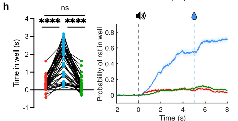 Open access visualization of Line Plot, Time in well, Probability of rat in well, Sound Cue, Water reward