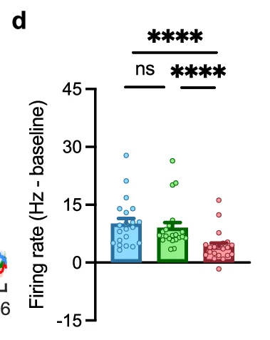 Open access visualization of Bar Plot, Scatter Plot, Firing Rate, Baseline, Hz