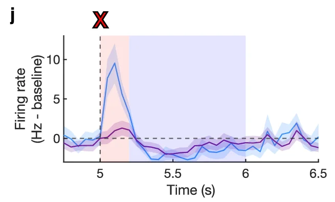Open access visualization of Line Plot, Firing Rate, Time, Baseline, Group