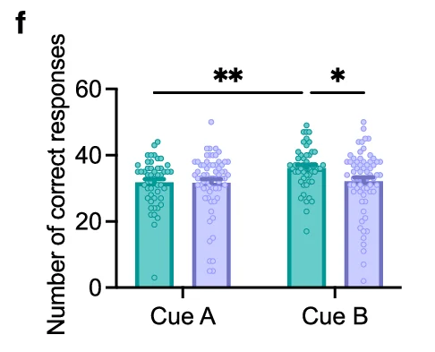 Open access visualization of Bar Plot, Scatter Plot, Number of correct responses, Cue A, Cue B
