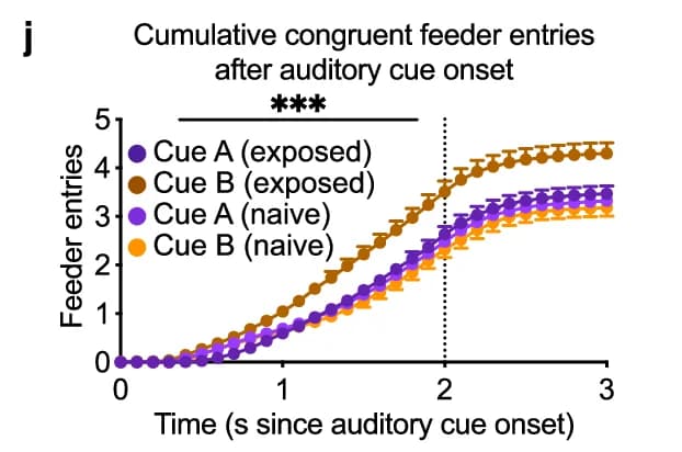 Open access visualization of Line Plot, Cumulative Congruent Feeder Entries, Auditory Cue Onset, Time, Feeder entries