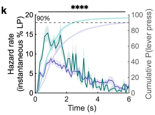 Open access visualization of Line Plot, Hazard rate, Cumulative probability, Time, Lever press