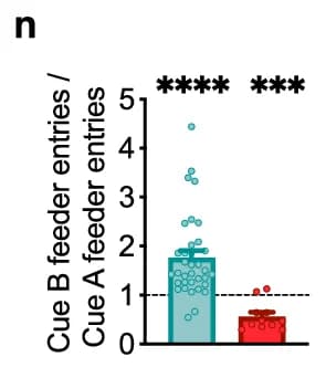 Open access visualization of Bar Plot, Scatter Plot, Cue B feeder entries, Cue A feeder entries, Ratio
