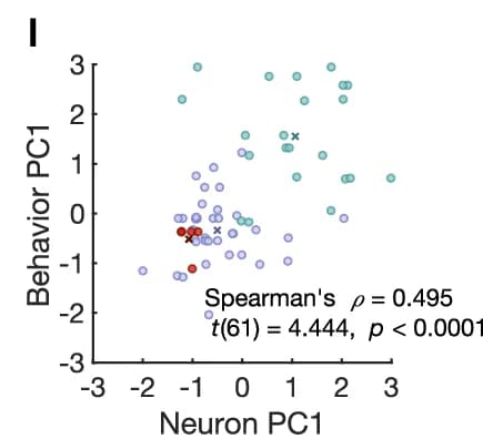 Open access visualization of Scatter Plot, Neuron PC1, Behavior PC1, Groups, Spearman Correlation